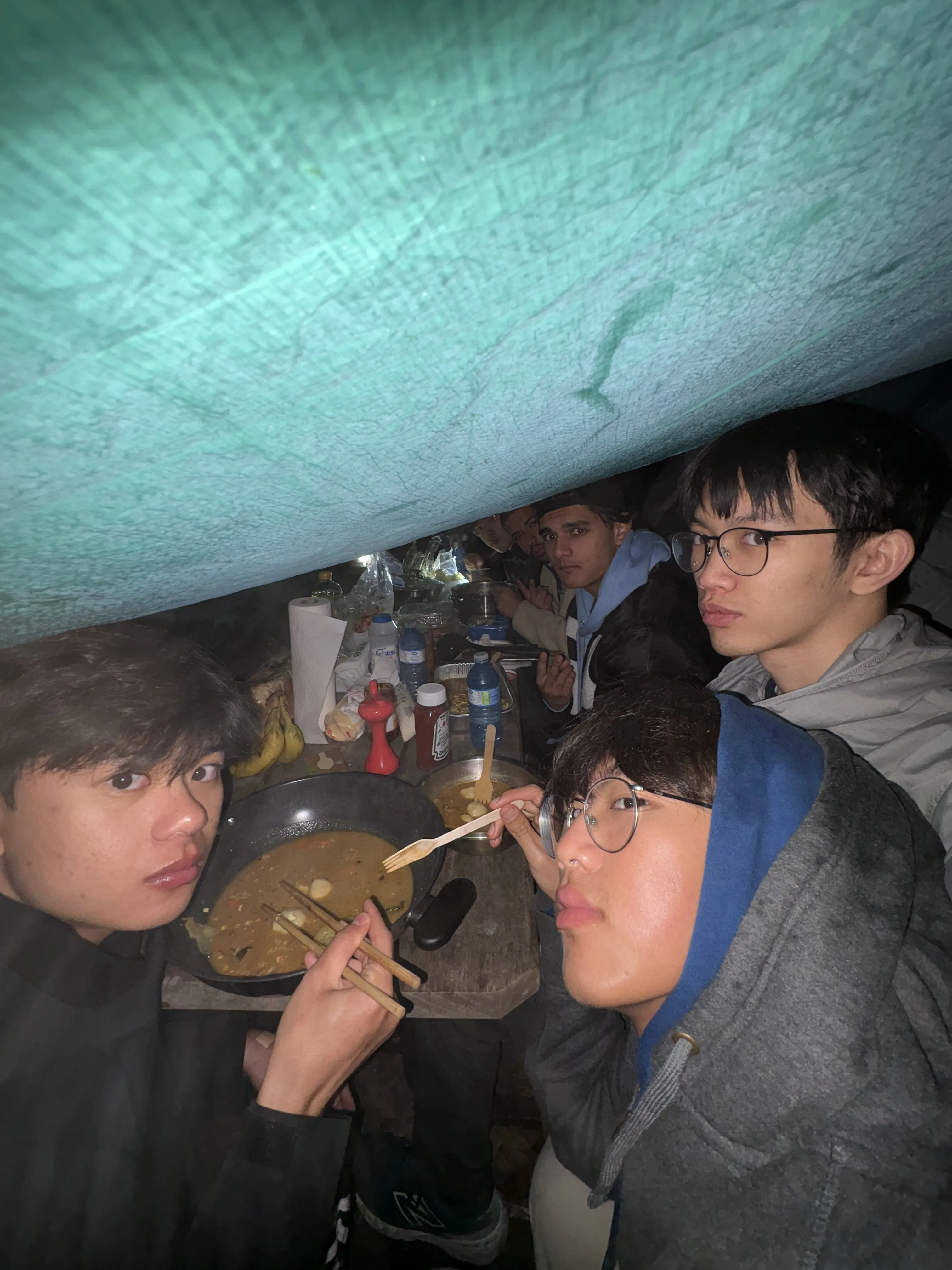Tarp